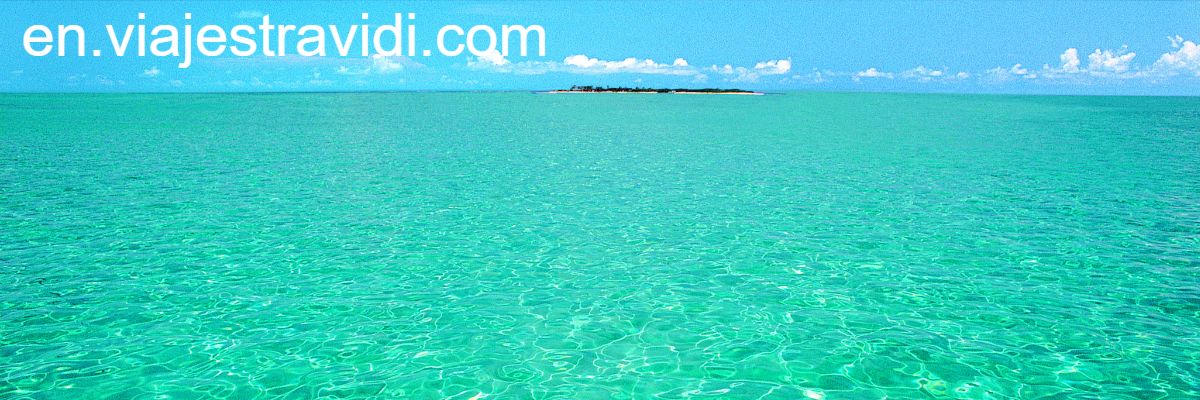 en.viajestravidi.com